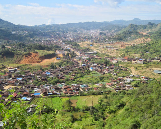 The Burmese ruby