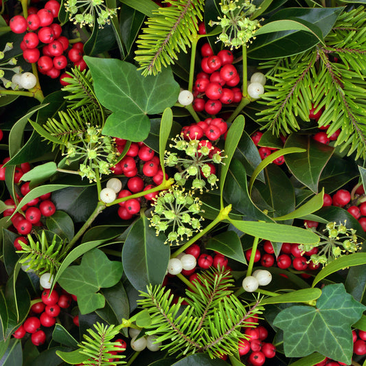 The Holly and the Ivy: Ruby and Emerald jewellery for the Festive Season